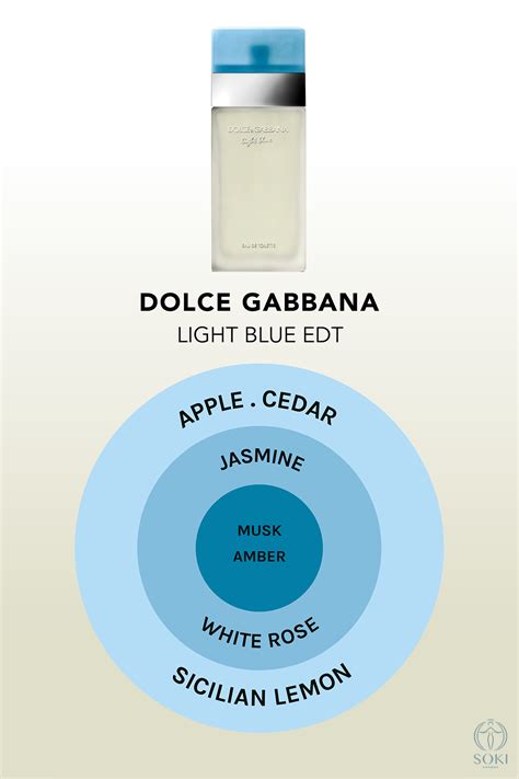 The Ultimate Guide To Every Dolce & Gabbana Light Blue Perfume